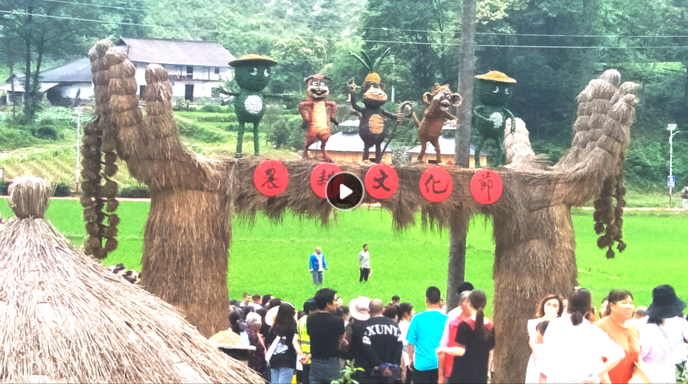 长乐坪镇及白岩坪村第四届插秧节暨首届农耕艺术节民俗活动