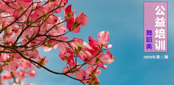 2020年十堰市群众艺术馆舞蹈公益培训-特邀老师饶子龙