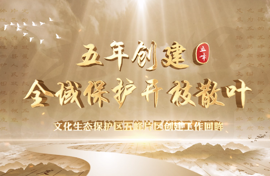 《五年创建，全域保护开枝散叶》——武陵山区（鄂西南）土家族苗族文化生态保护试验区建设宣传片