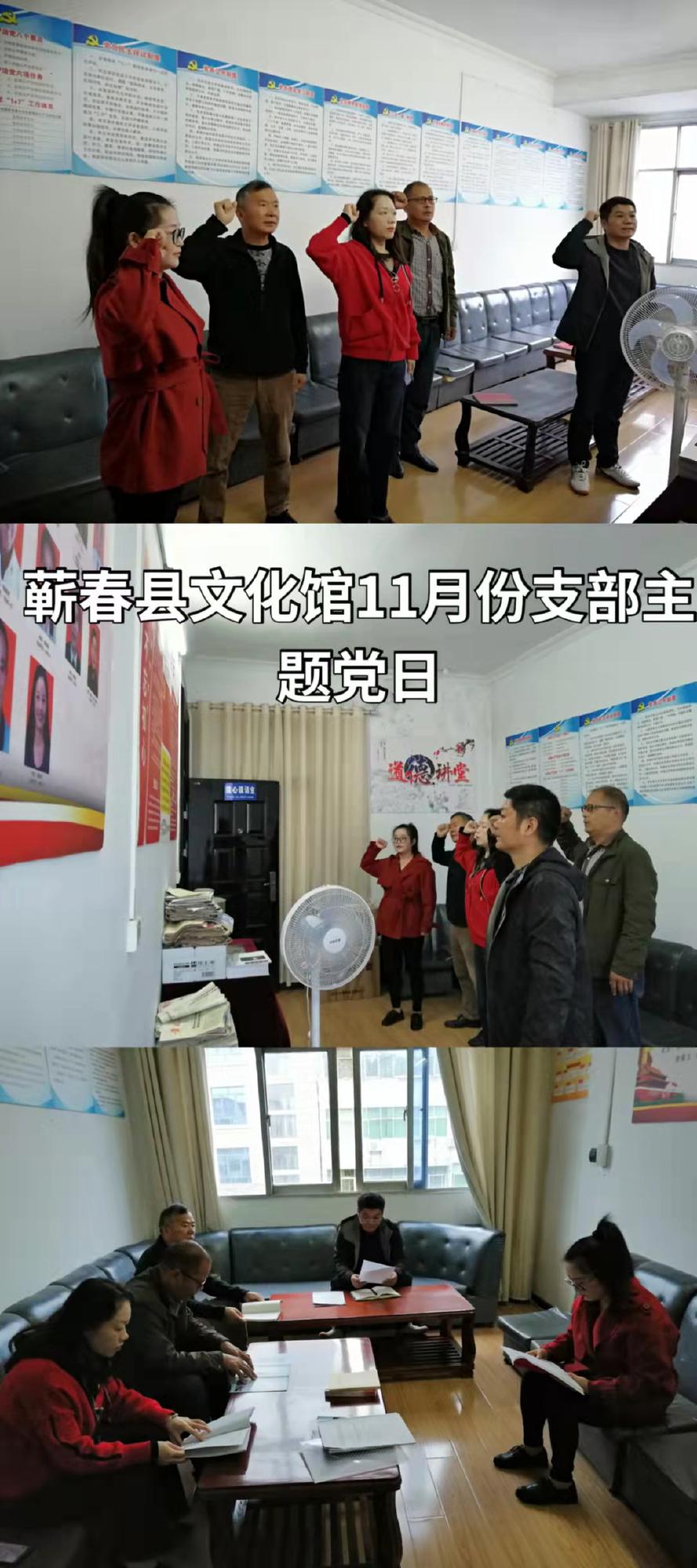 2021年蕲春县文化馆11月支部主题党日学习活动