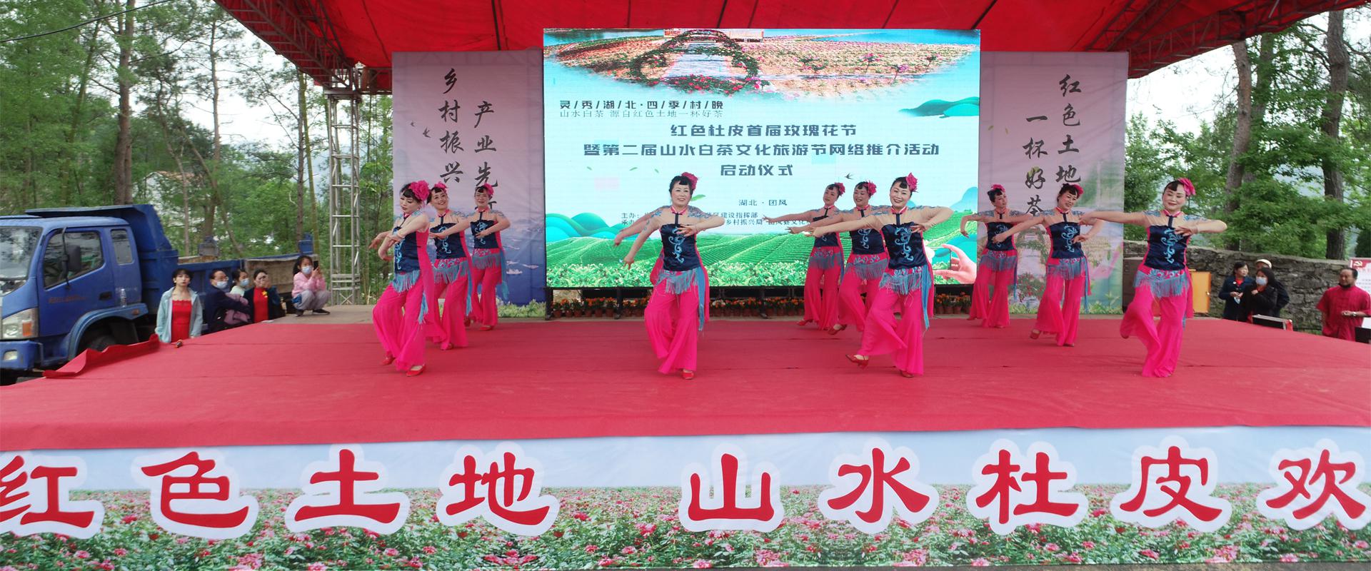 杜皮首届玫瑰花节