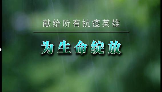 为生命绽放