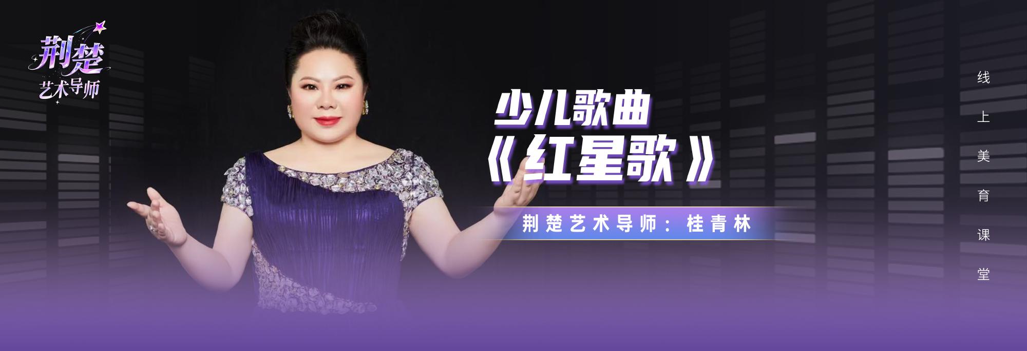 少儿歌曲《红星歌》
