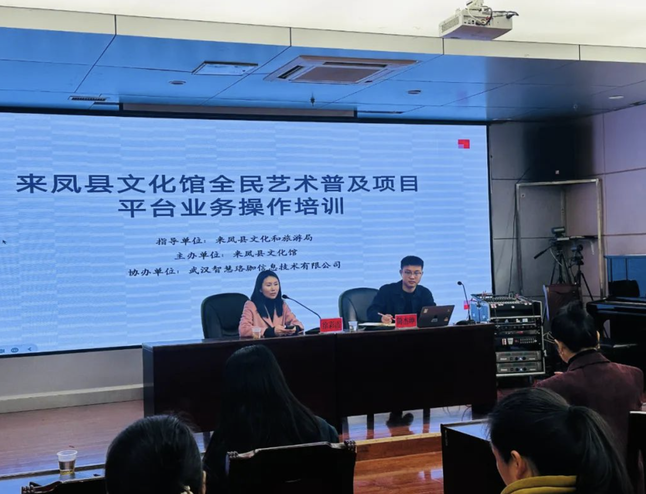 艺术触手可及：来凤县2025全民艺术普及云平台培训启幕