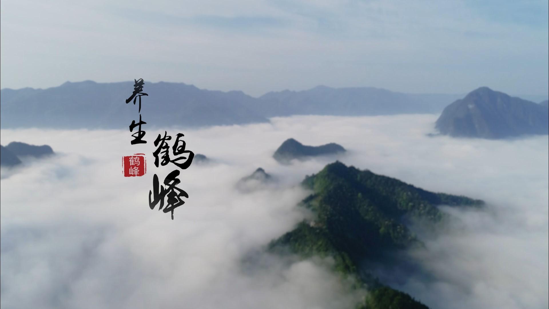 中国之中 养生鹤峰