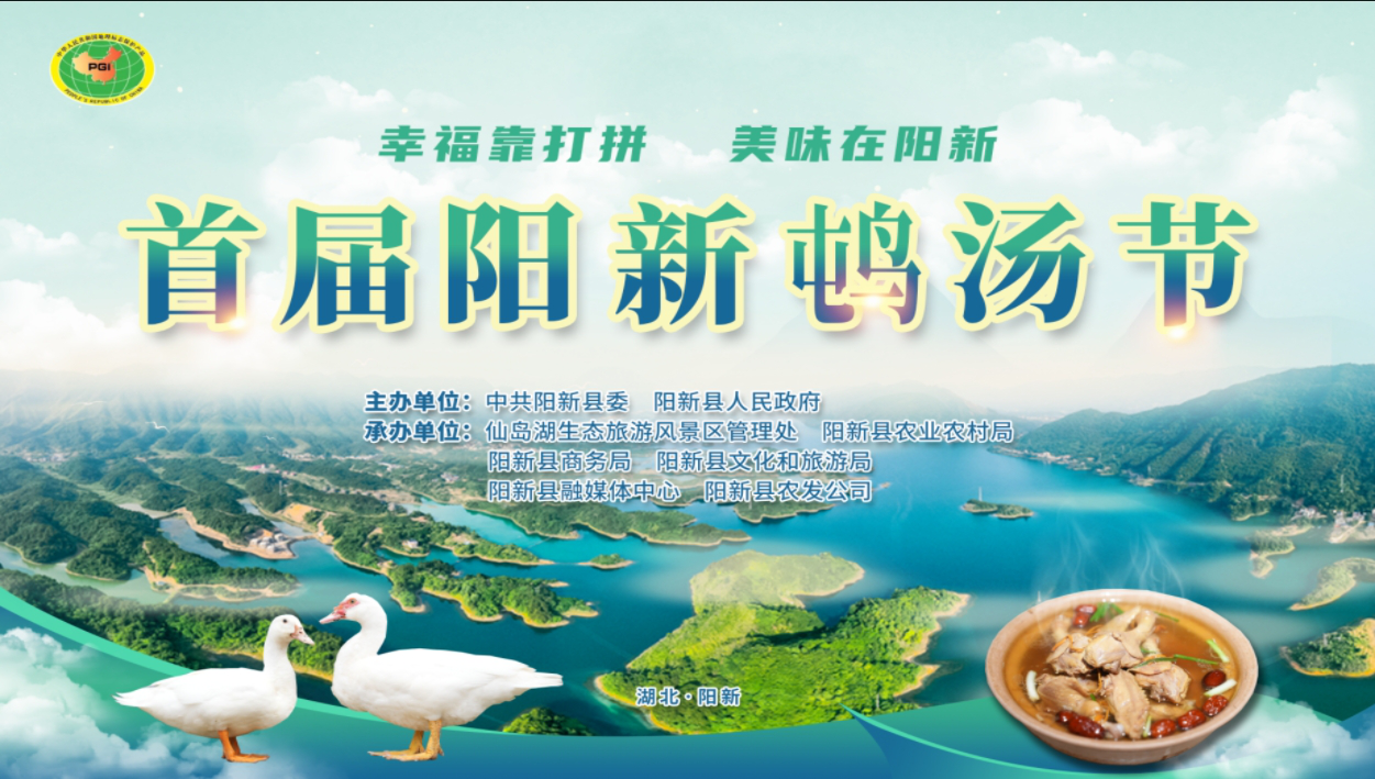 直播I首届阳新屯鸟汤节