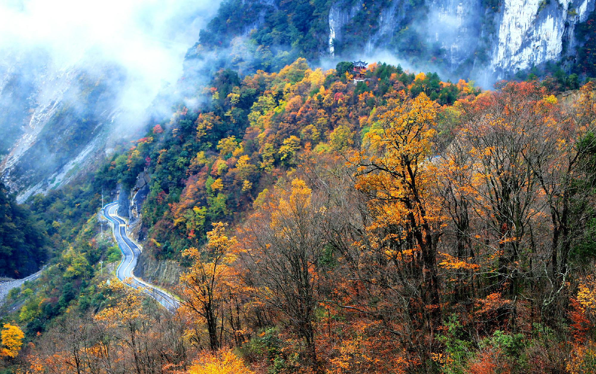 神农架林区群艺馆