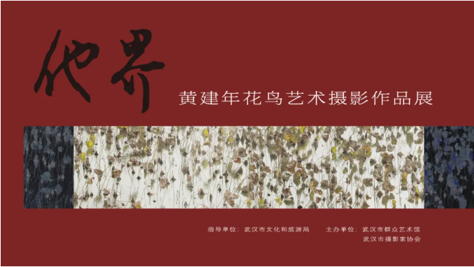 展讯丨他界——黄建年花鸟艺术摄影作品展即将启幕