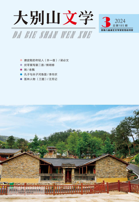 大别山文学（185期）