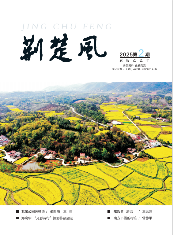 《荆楚风》2025年第二期