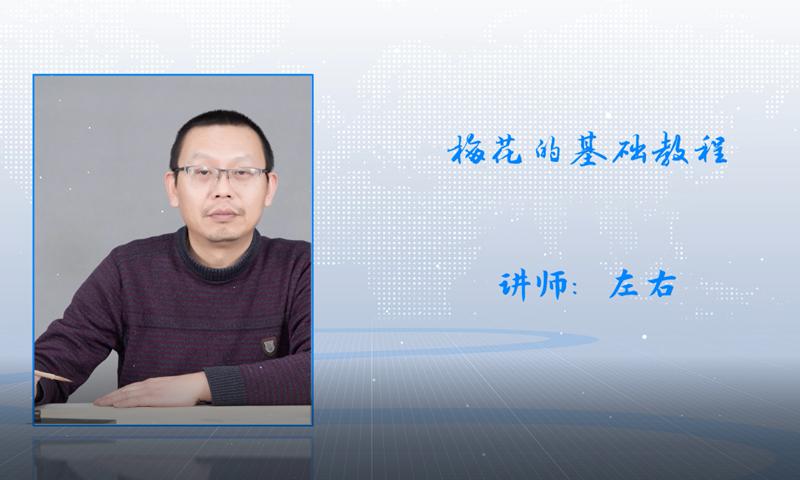 梅花的基础教程