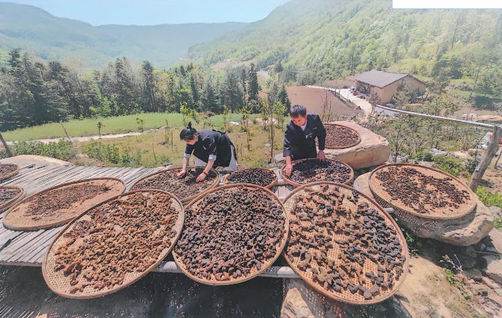“传承非遗文脉 绘韵水都丹江口”非遗书画摄影作品线上展——摄影作品（一）