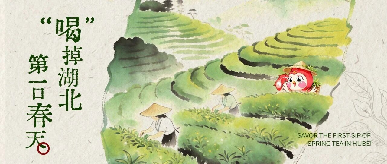 “喝”掉湖北第一口春天