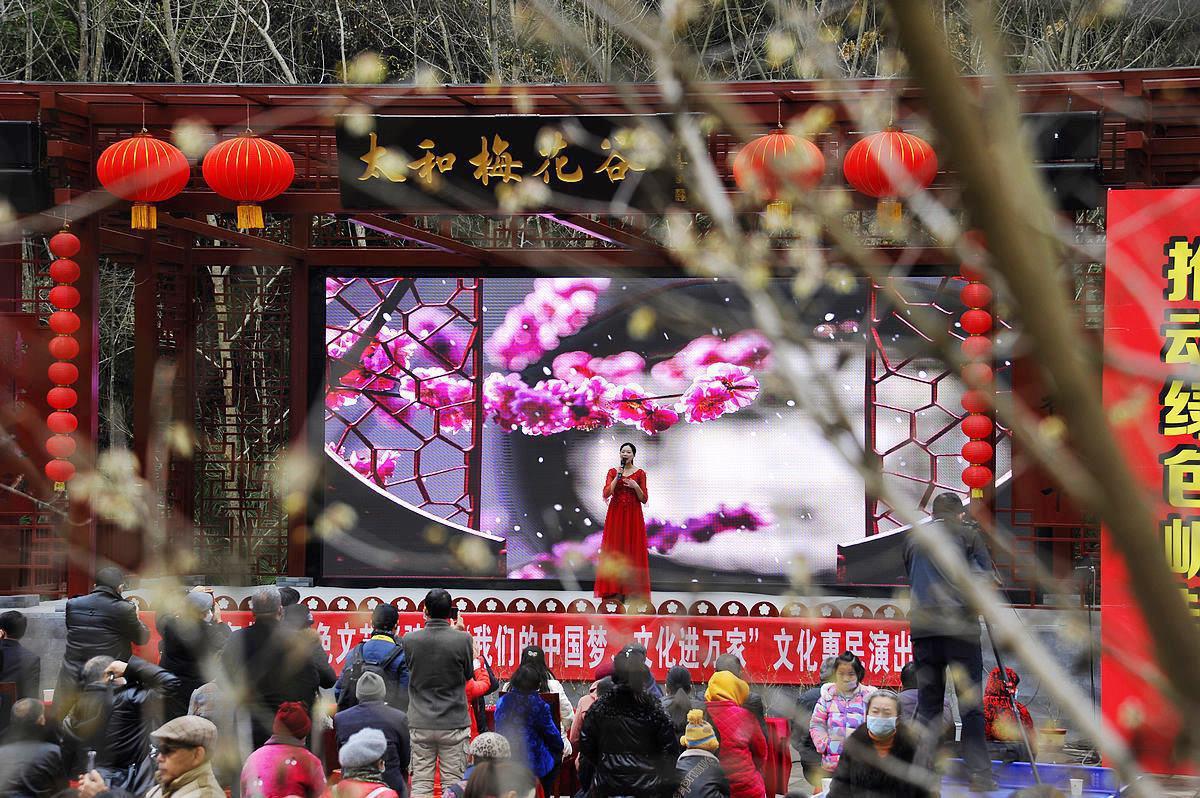 第五届腊梅文化旅游节